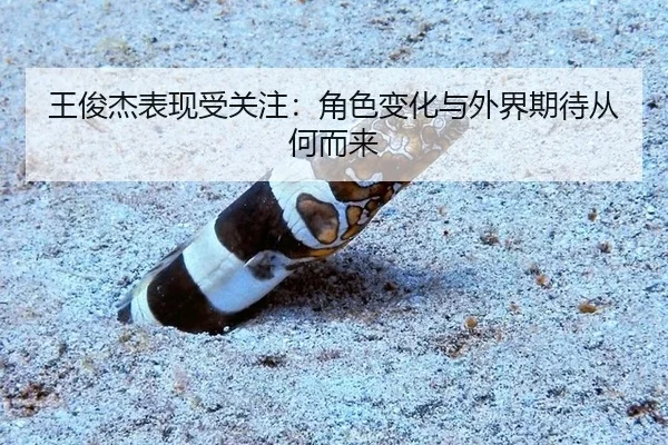 wang-jun-jie-biao-xian-shou-guan-zhu-jue-se-bian-hua-yu-wai-jie-qi-dai-cong-he-er-lai-2-593.jpg